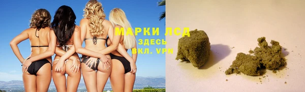 стаф Верея