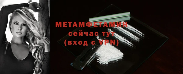 стаф Верея