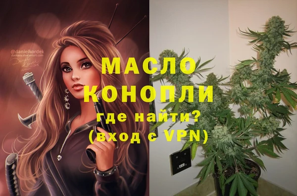 стаф Верея