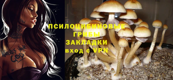 прущий лед Бугульма