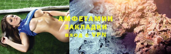 стаф Верея