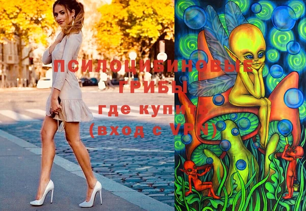 стаф Верея