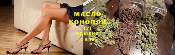 стаф Верея