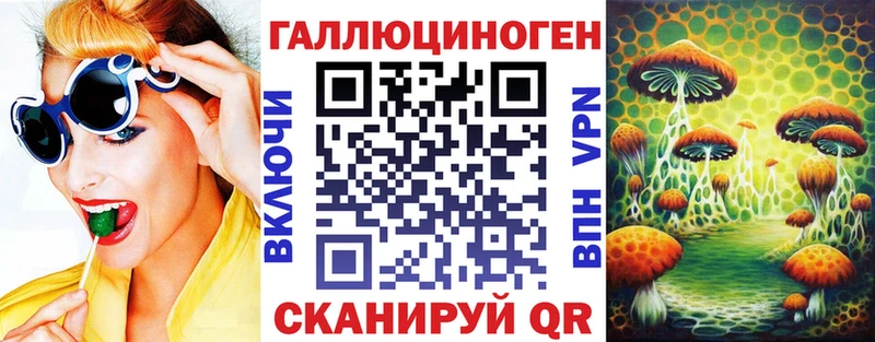ОМГ ОМГ ONION  где купить наркотик  Волхов  Псилоцибиновые грибы MAGIC MUSHROOMS 